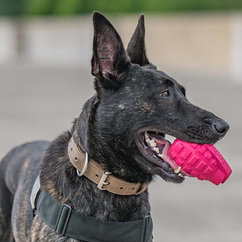 SodaPup USA K9 Grenade Medium – Pink