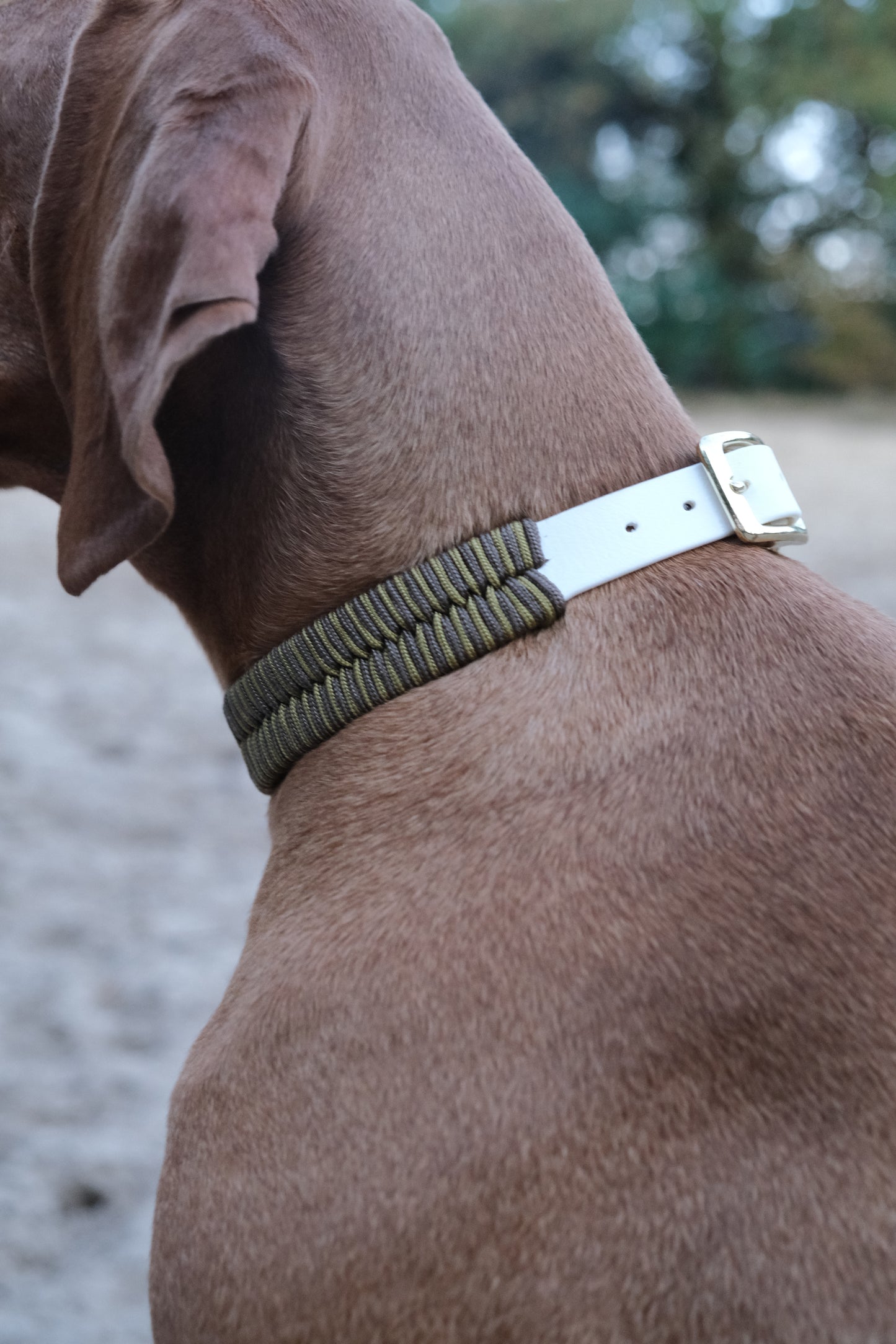Collar 'Faya'