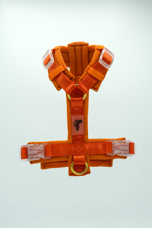 Rolfito Neoprene Y-Harness - Orange