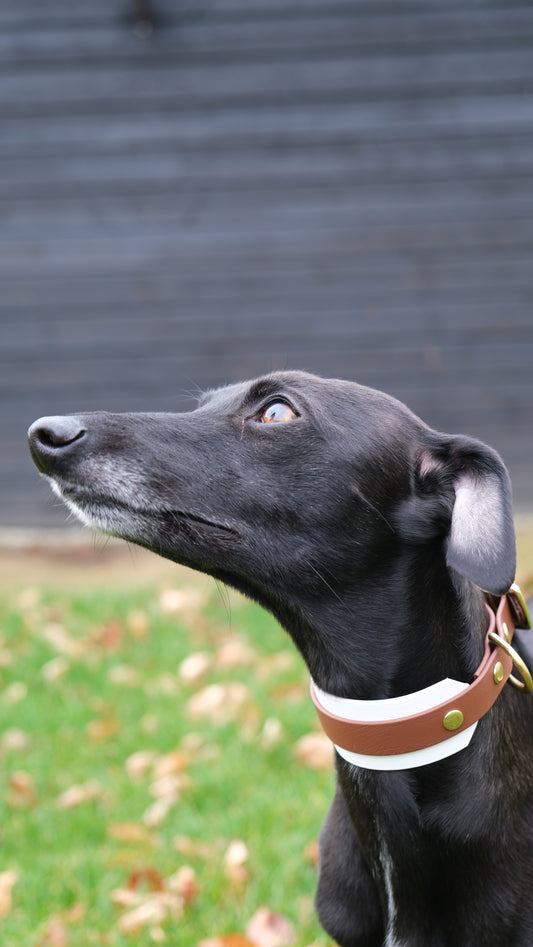 Collar 'Luna'