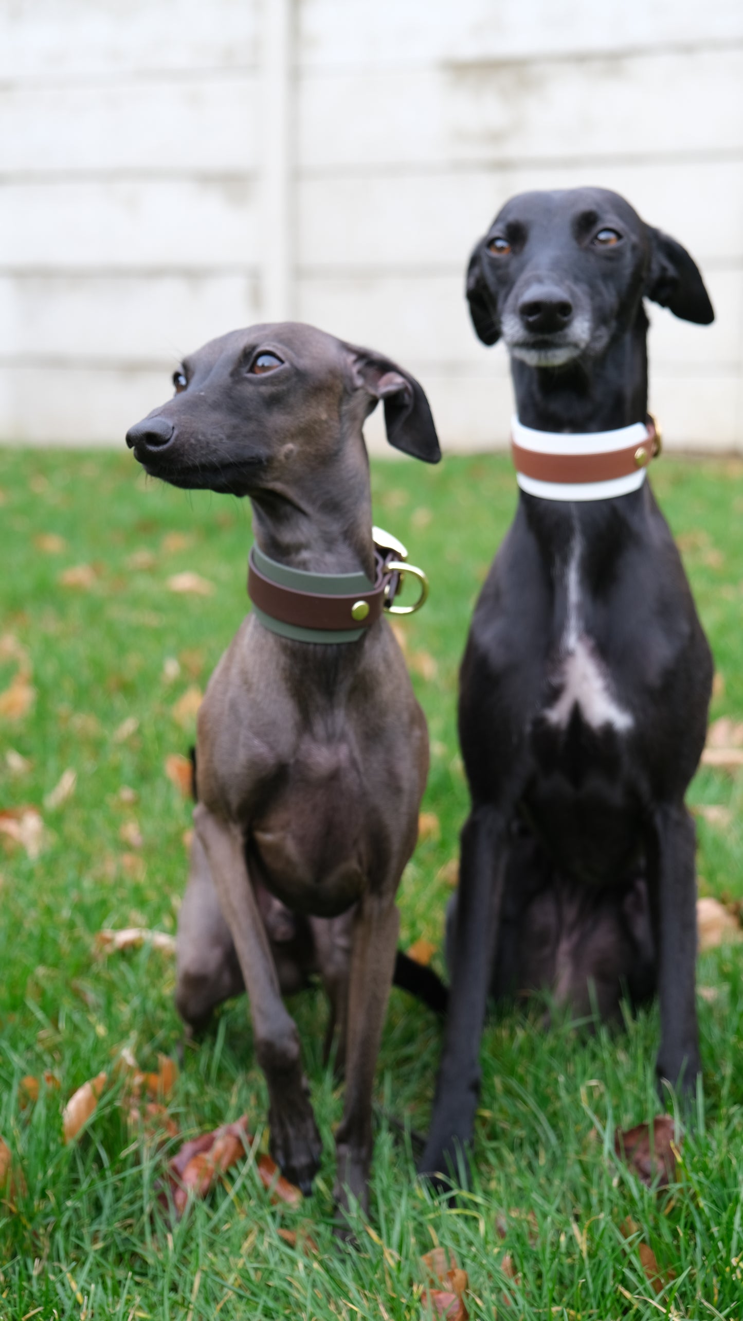 Collar 'Luna'