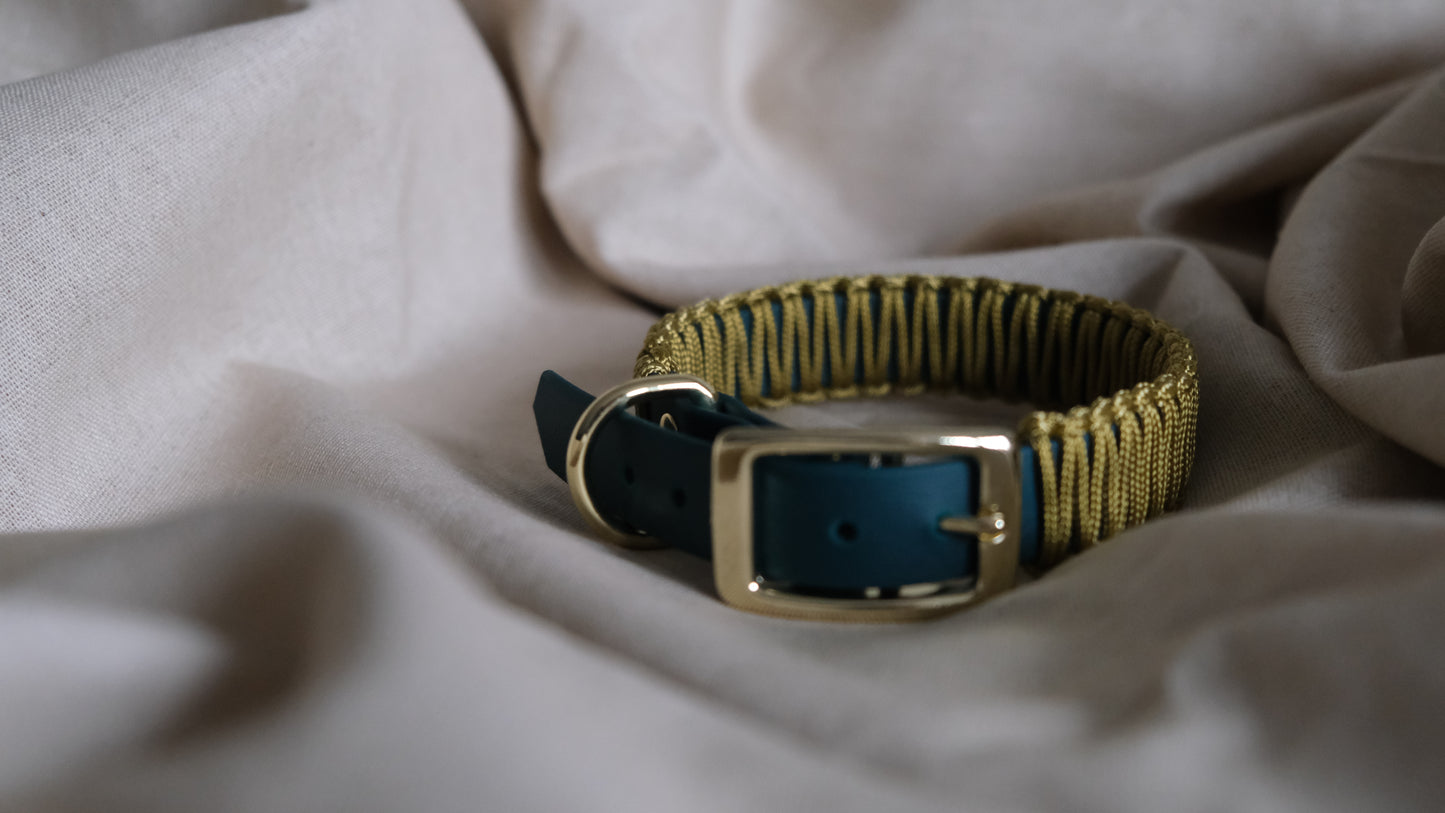 Collar 'Hunter'