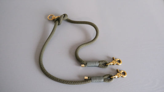 Coupler leash