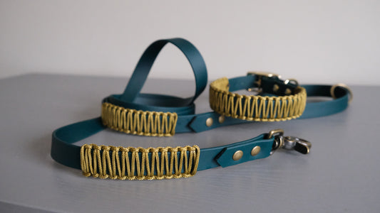 Dog leash 'Hunter'