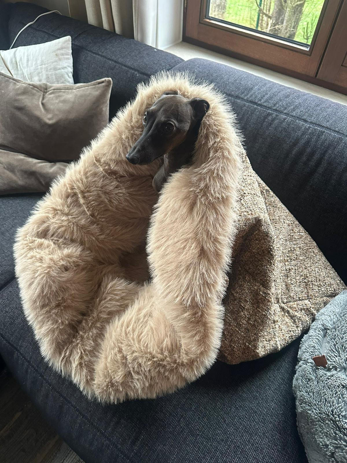 Snuggle Sack Deluxe - Design your own!