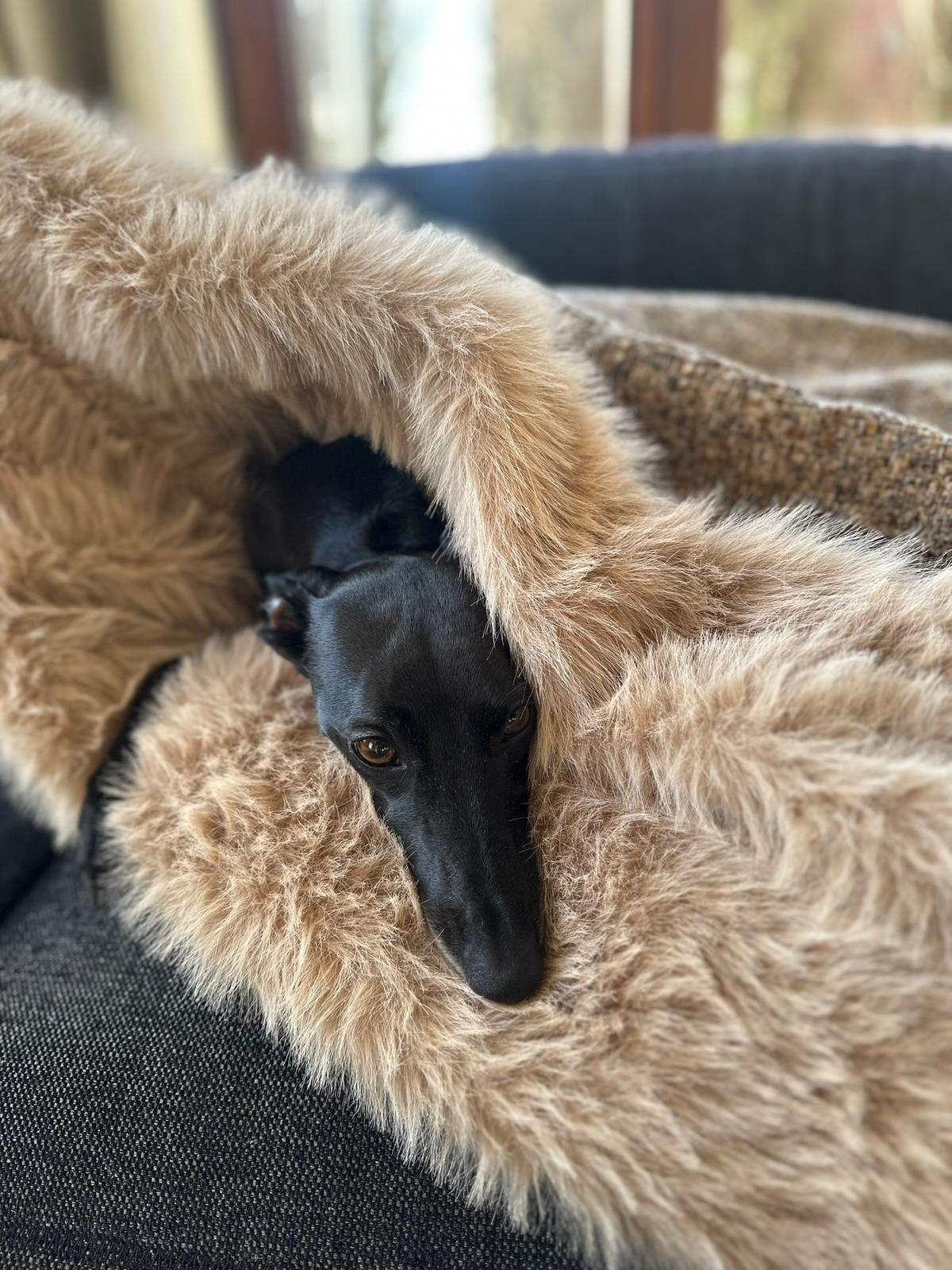 Snuggle Sack Deluxe