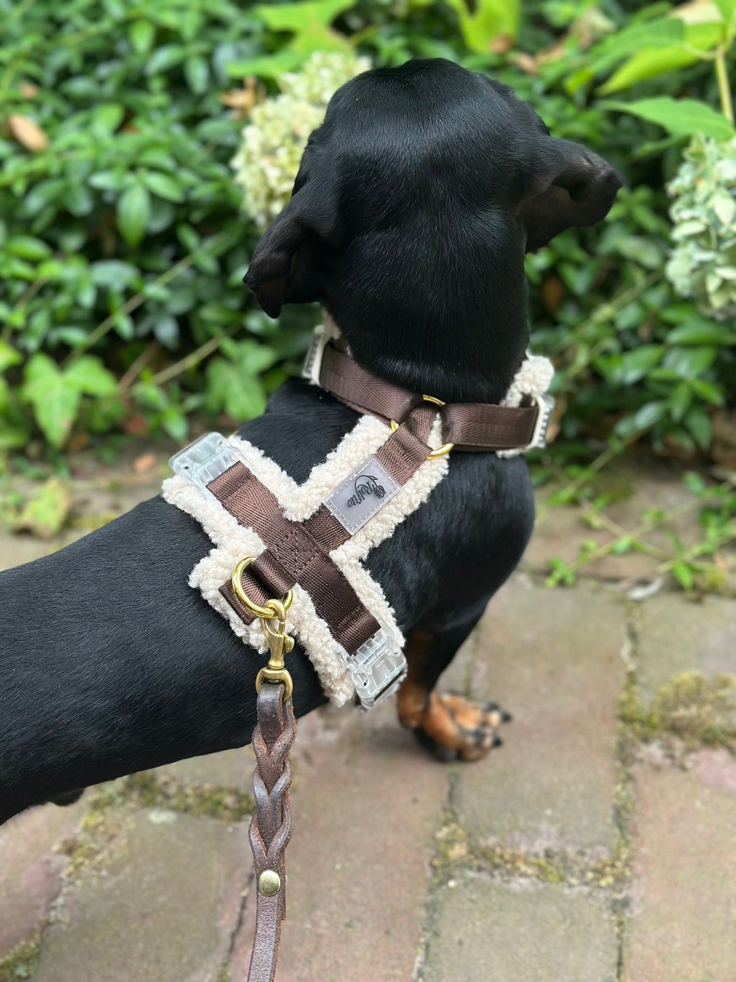 Rolfito Teddy Y-Harness - Brown/cream